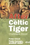 After the celtic tiger vignette