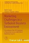 Marketing challenges in a turbulent business environment vignette