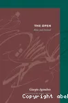 The open vignette