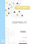 Comptabilité : DCG UE9 Fiches vignette